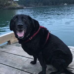 Meet your Posher, Kerstin